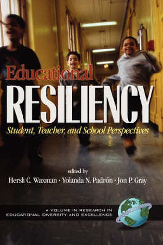 Cover image for Educational Resilience: Student, Teacher and Perspectives