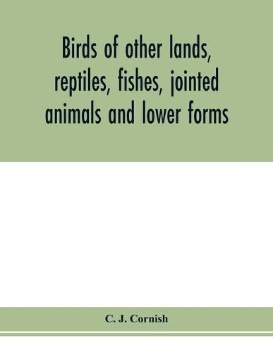 Cover image for Birds of other lands, reptiles, fishes, jointed animals and lower forms