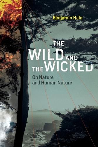 Cover image for The Wild and the Wicked