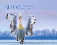Cover image for Bird Photographer of the Year: Collection 4