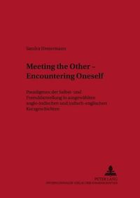 Cover image for Meeting the Other - Encountering Oneself: Paradigmen Der Selbst- Und Fremddarstellung in Ausgewaehlten Anglo-Indischen Und Indisch-Englischen Kurzgeschichten