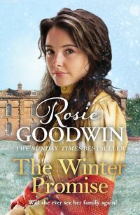 Cover image for The Winter Promise: A perfect cosy Victorian saga from the Sunday Times bestselling author