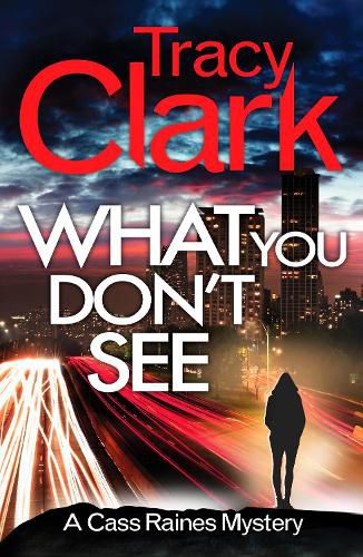 Cover image for What You Don't See: A gripping private investigator series