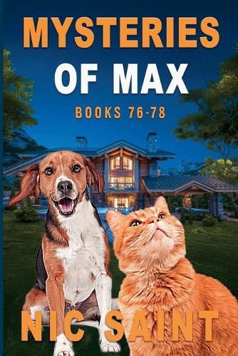 Cover image for Mysteries of Max