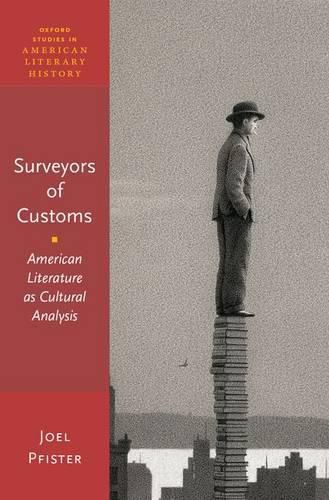 Cover image for Surveyors of Custom: American Literature as Cultural Analysis