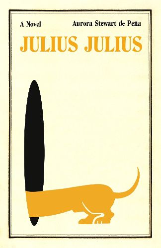 Cover image for Julius Julius