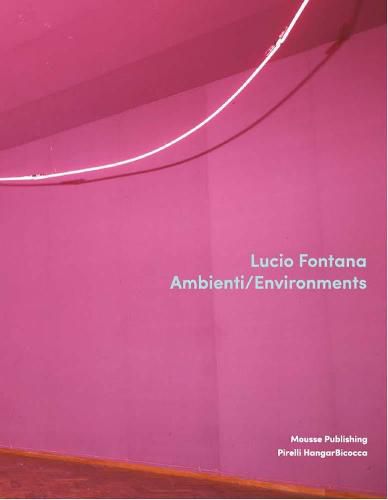 Cover image for Lucio Fontana: Environments