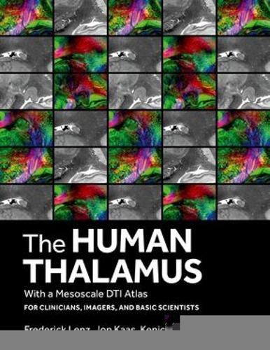 Cover image for The Human Thalamus with a Mesoscale DTI Atlas