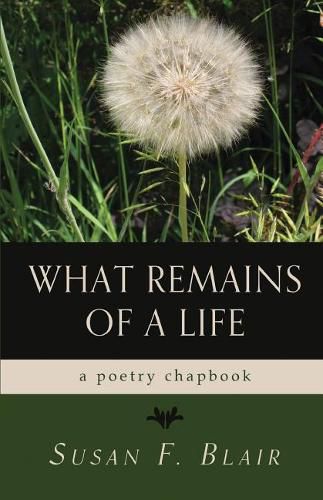 Cover image for What Remains of a Life