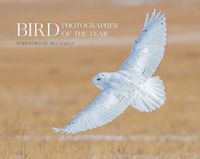 Cover image for Bird Photographer of the Year: Collection 6