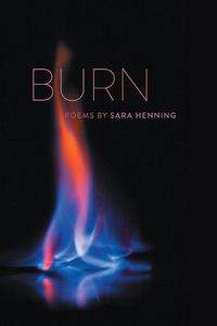 Cover image for Burn