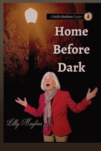 Cover image for Home Before Dark