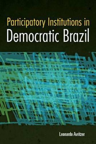 Cover image for Participatory Institutions in Democratic Brazil