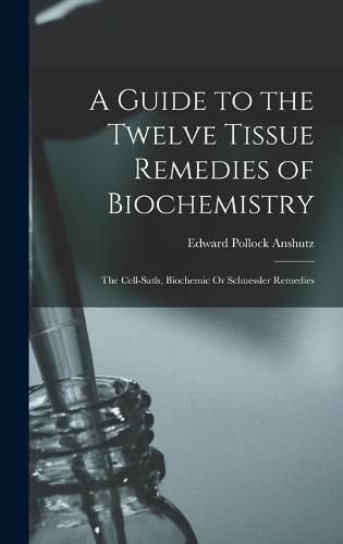 A Guide to the Twelve Tissue Remedies of Biochemistry