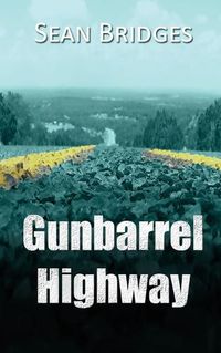 Cover image for Gunbarrel Highway