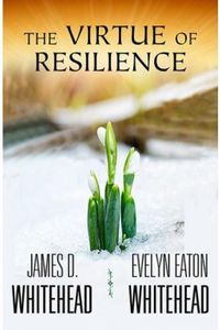 Cover image for The Virtue of Resilience