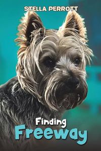 Cover image for Finding Freeway