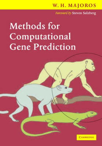 Cover image for Methods for Computational Gene Prediction