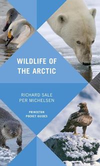 Cover image for Wildlife of the Arctic