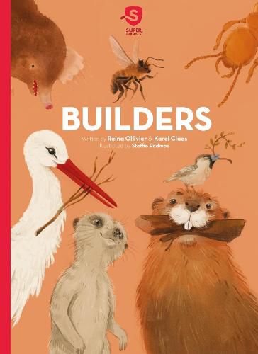 Cover image for Builders