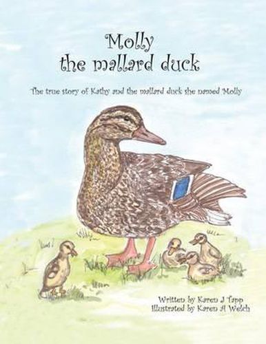 Cover image for Molly the Mallard Duck: The True Story of Kathy and the Mallard Duck She Named Molly