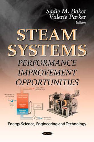 Cover image for Steam Systems: Performance Improvement Opportunities