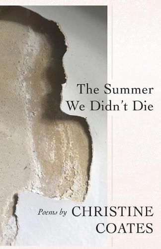 Cover image for The Summer We Didn't Die