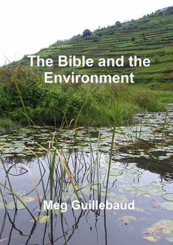 Cover image for The Bible and the Environment