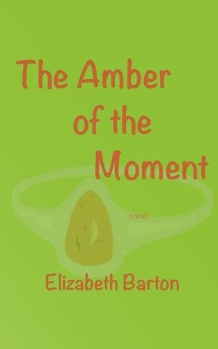 Cover image for The Amber of the Moment