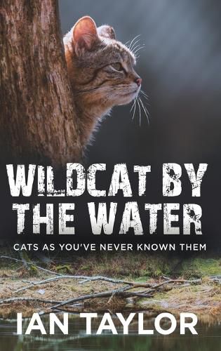 Cover image for Wildcat By The Water