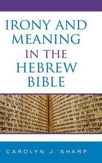 Cover image for Irony and Meaning in the Hebrew Bible