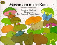 Cover image for Mushroom in the Rain