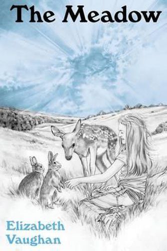 Cover image for The Meadow