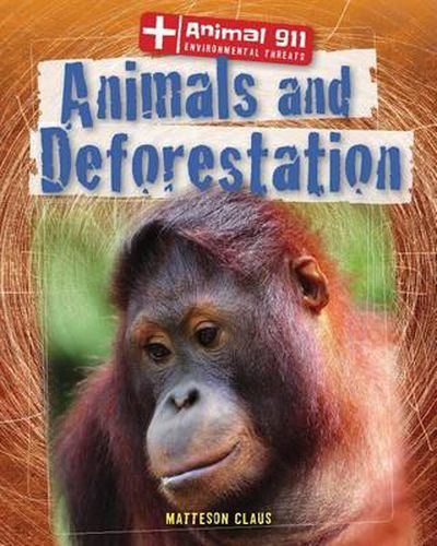 Cover image for Animals and Deforestation