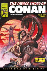 Cover image for The Savage Sword of Conan: The Original Comics Omnibus Vol.4