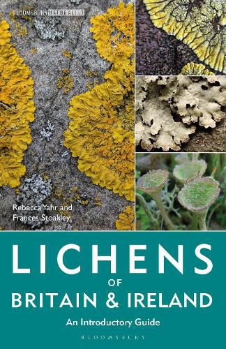 Cover image for Lichens of Britain and Ireland