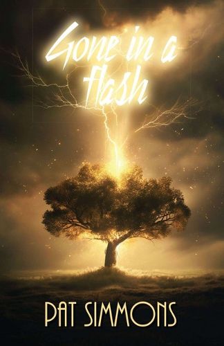 Cover image for Gone in a Flash