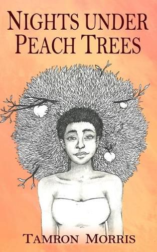 Cover image for Nights under Peach Trees