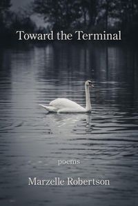 Cover image for Toward the Terminal