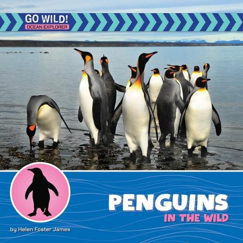 Cover image for Penguins in the Wild