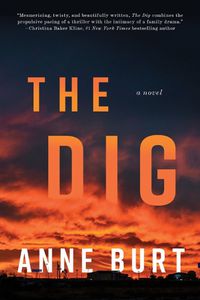 Cover image for The Dig: A Novel