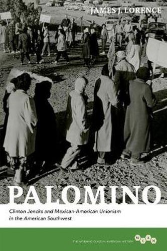 Cover image for Palomino: Clinton Jencks and Mexican-American Unionism in the American Southwest