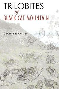 Cover image for Trilobites of Black Cat Mountain