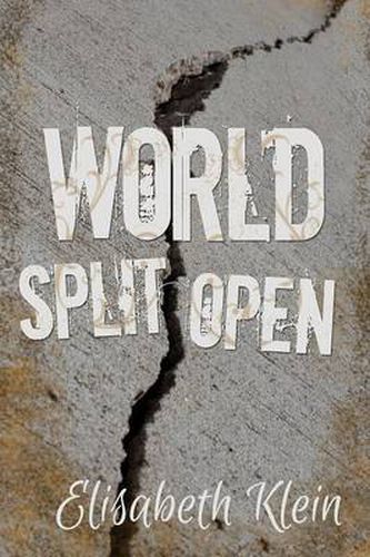 Cover image for World Split Open