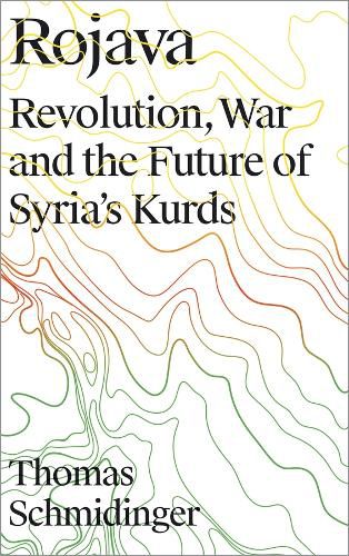 Cover image for Rojava: Revolution, War and the Future of Syria's Kurds