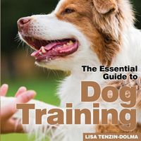 Cover image for Dog Training