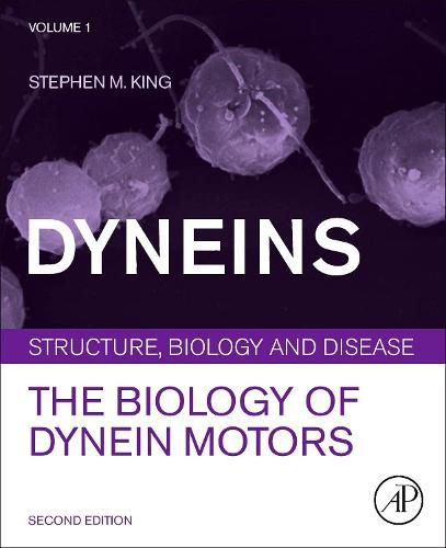 Dyneins: The Biology of Dynein Motors