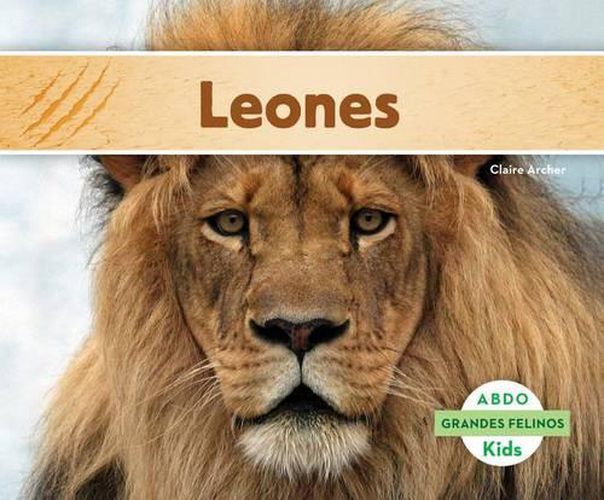 Cover image for Leones