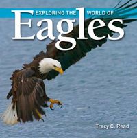 Cover image for Exploring the World of Eagles