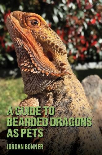 Cover image for Guide to Bearded Dragons as Pets